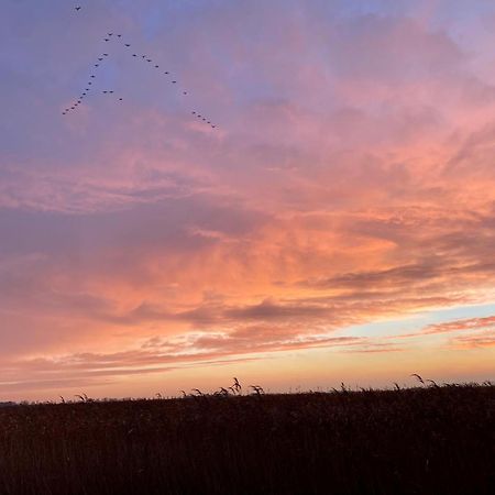 Deichkoje12 Direkt Am Eiderdeich Nur 7 Km Bis Zur Nordsee Und 20 Min Bis Sankt Peter Ording Тённинг Экстерьер фото