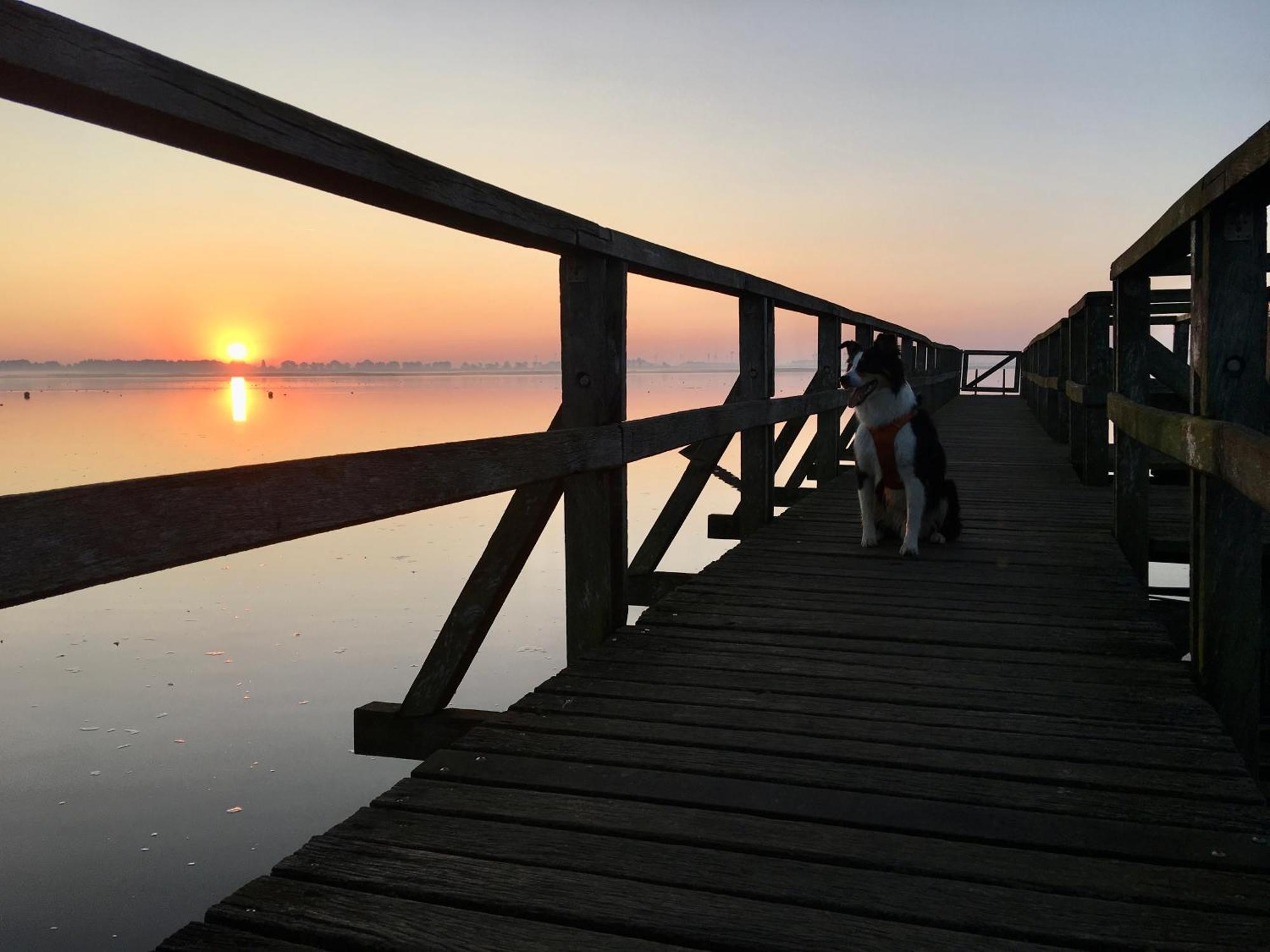 Deichkoje12 Direkt Am Eiderdeich Nur 7 Km Bis Zur Nordsee Und 20 Min Bis Sankt Peter Ording Тённинг Экстерьер фото