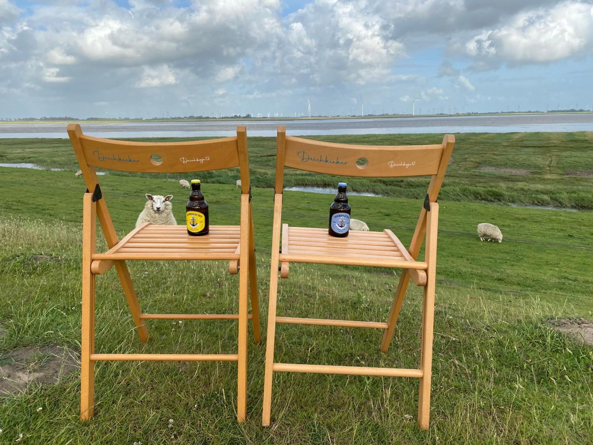 Deichkoje12 Direkt Am Eiderdeich Nur 7 Km Bis Zur Nordsee Und 20 Min Bis Sankt Peter Ording Тённинг Экстерьер фото
